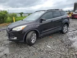 Salvage cars for sale at Montgomery, AL auction: 2013 Ford Escape SEL