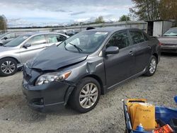 Salvage cars for sale at Arlington, WA auction: 2009 Toyota Corolla Base