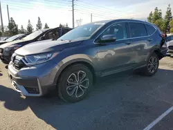 Salvage cars for sale at Rancho Cucamonga, CA auction: 2020 Honda CR-V EXL