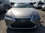 2020 Lexus ES 350