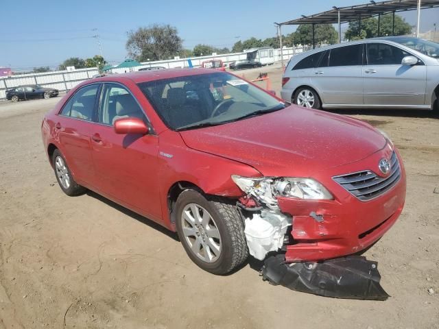 2007 Toyota Camry Hybrid