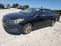 Hyundai Sonata Vehiculos salvage en venta: 2016 Hyundai Sonata SE