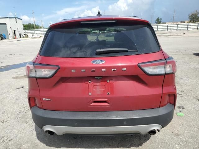 2021 Ford Escape SEL