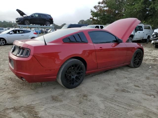 2013 Ford Mustang