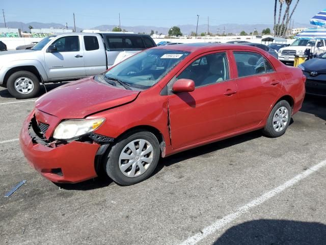 2010 Toyota Corolla Base