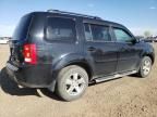 2011 Honda Pilot EXL