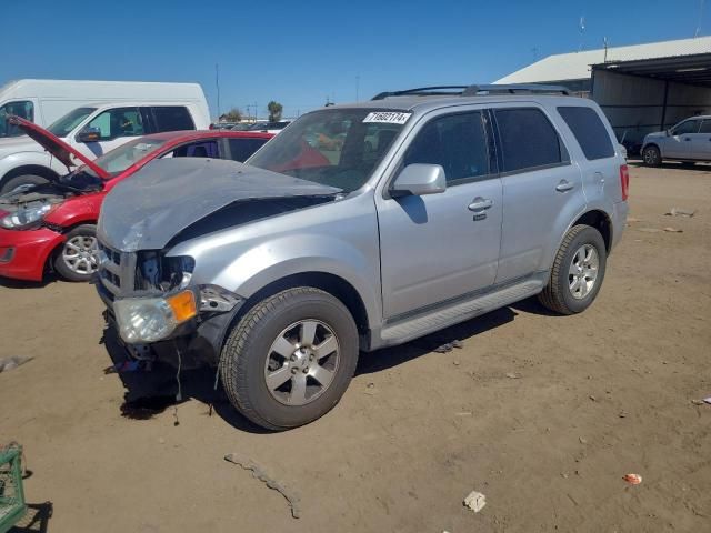 2010 Ford Escape Limited