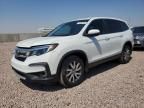 2021 Honda Pilot EXL