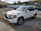 2010 Ford Escape Limited