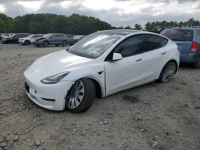 2020 Tesla Model Y