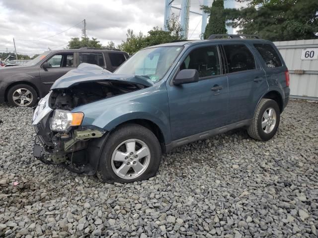 2010 Ford Escape XLT