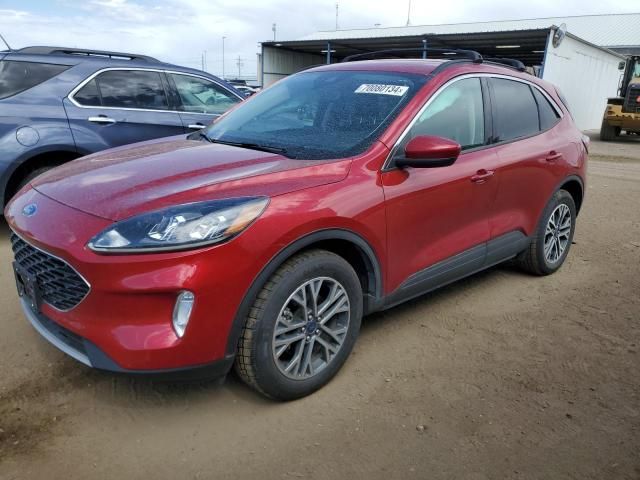 2020 Ford Escape SEL