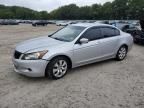 2008 Honda Accord EX