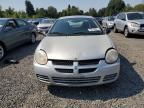 2005 Dodge Neon SXT