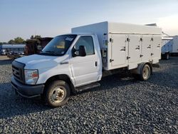 Ford e450 Super Duty Refrigera salvage cars for sale: 2017 Ford E450 Super Duty Refrigerated Truck