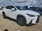 2023 Lexus NX 250