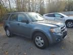 2012 Ford Escape XLS