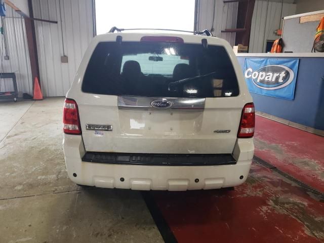 2009 Ford Escape Limited