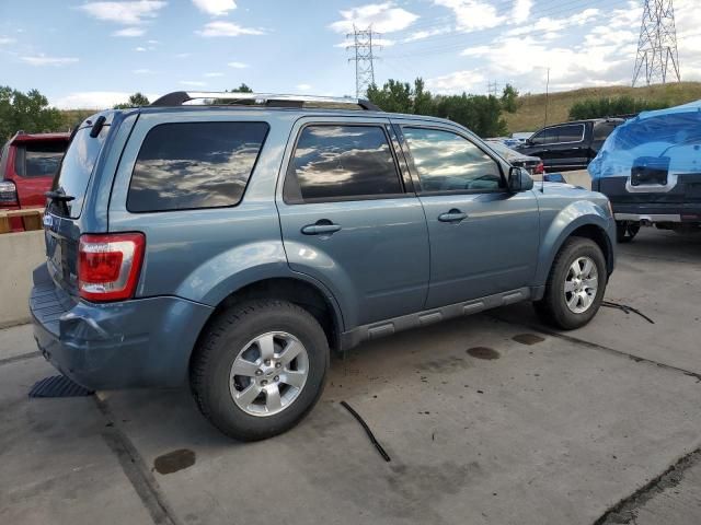 2010 Ford Escape Limited