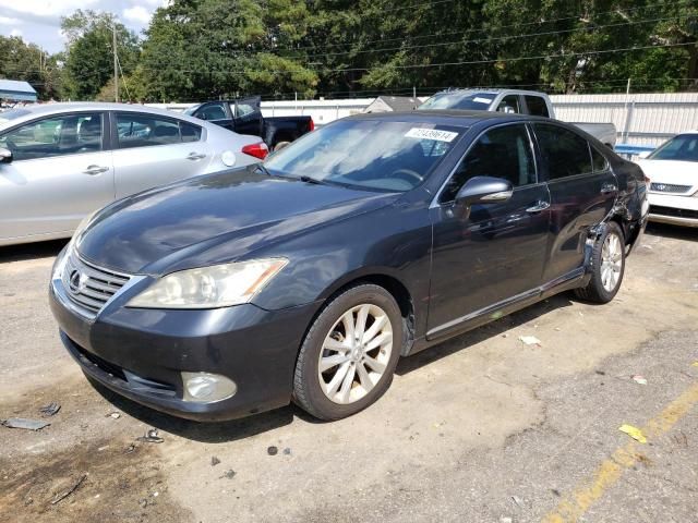 2010 Lexus ES 350