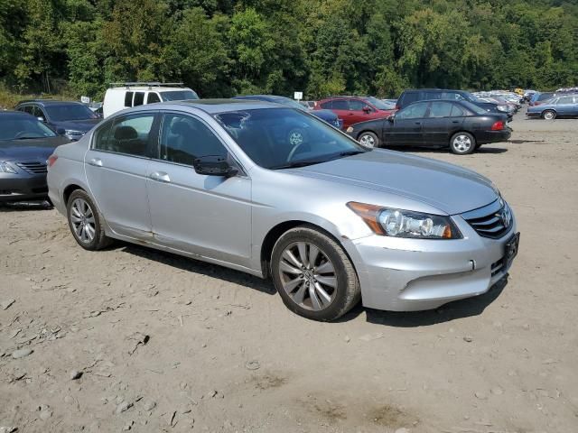 2011 Honda Accord EXL