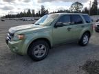 2008 Ford Escape XLT