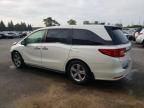 2019 Honda Odyssey EXL