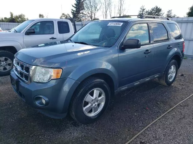 2011 Ford Escape XLT