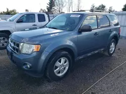 Ford salvage cars for sale: 2011 Ford Escape XLT