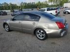 2004 Nissan Maxima SE