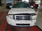 2009 Ford Escape Limited