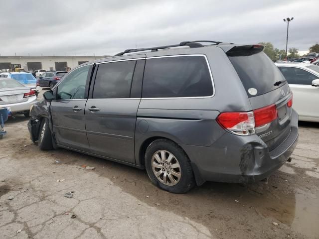 2009 Honda Odyssey EXL