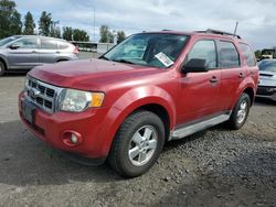 Ford salvage cars for sale: 2010 Ford Escape XLT