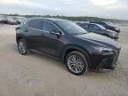 2024 Lexus NX 350 Luxury