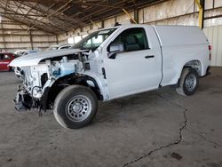 2023 Chevrolet Silverado C1500 en venta en Phoenix, AZ