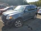 2010 Ford Escape Limited