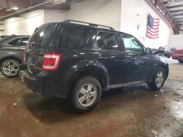 2009 Ford Escape XLT