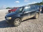 2006 Ford Escape Limited