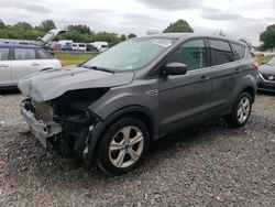 Salvage cars for sale at Hillsborough, NJ auction: 2015 Ford Escape SE