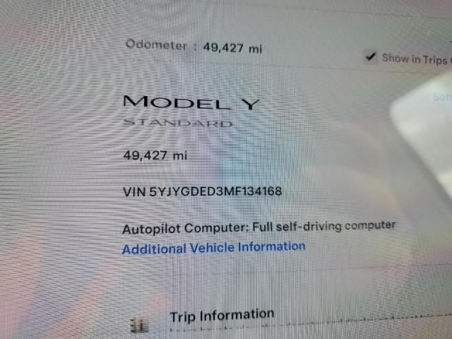 2021 Tesla Model Y