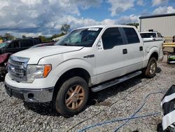 2010 Ford F150 Supercrew en venta en Hueytown, AL