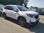 2023 Honda Passport EXL