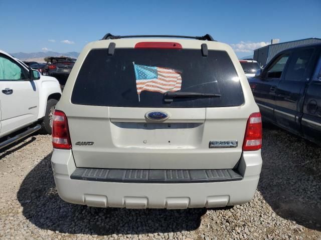 2008 Ford Escape XLT