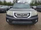 2011 Honda Pilot EXL