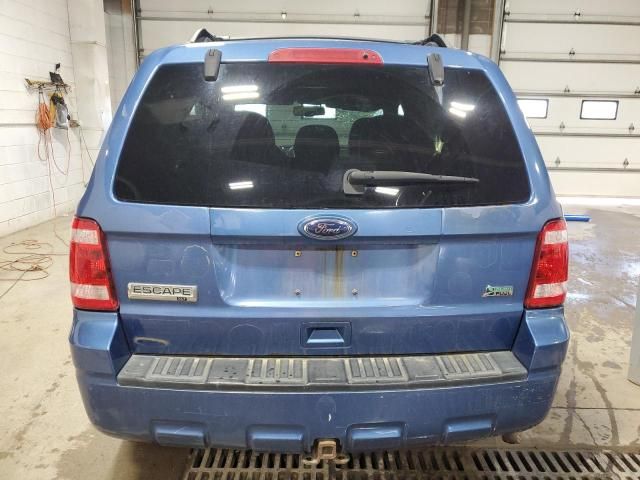 2010 Ford Escape XLT