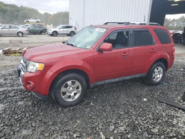 2011 Ford Escape Limited