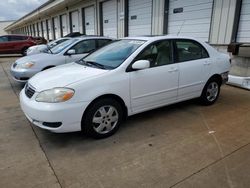 Salvage cars for sale at auction: 2008 Toyota Corolla CE