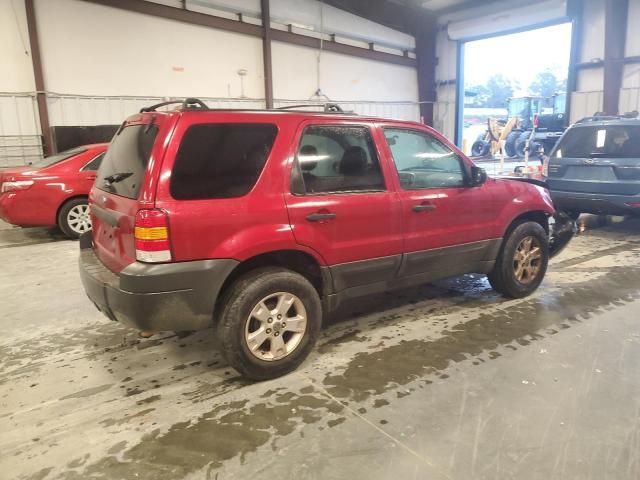 2007 Ford Escape XLT