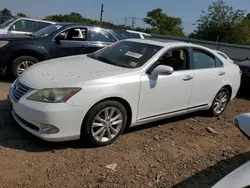 Salvage cars for sale at Hillsborough, NJ auction: 2011 Lexus ES 350