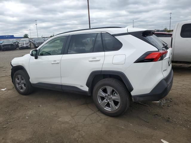 2024 Toyota Rav4 XLE